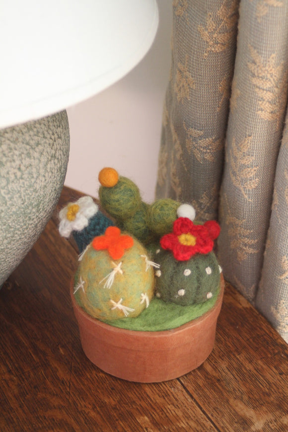 Sustainable Fair Trade Handmade Felted Green Cactus Flower Pot
