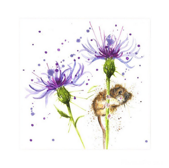 Wraptious Sue Gardner Colourful Cornflower & Cute Little Mouse Mini Canvas