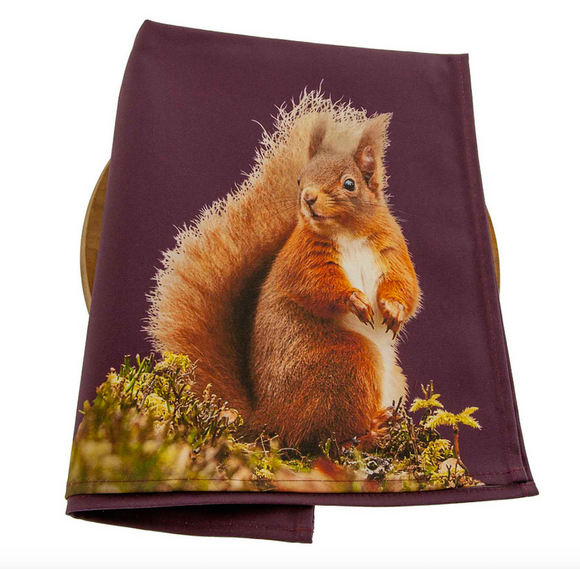 Seddon & Davison Colourful Cotton Scottish Red Squirrel Tea Towel