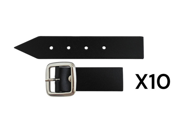 Sturdy Black Kilt Strap and Chrome Buckle with Leather Tab - 1 Inch (3cm) Wide - x10
